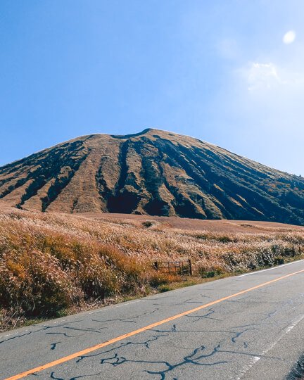 Partnership To Success