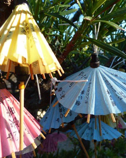 Partnership To Success