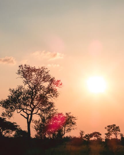 Partnership To Success